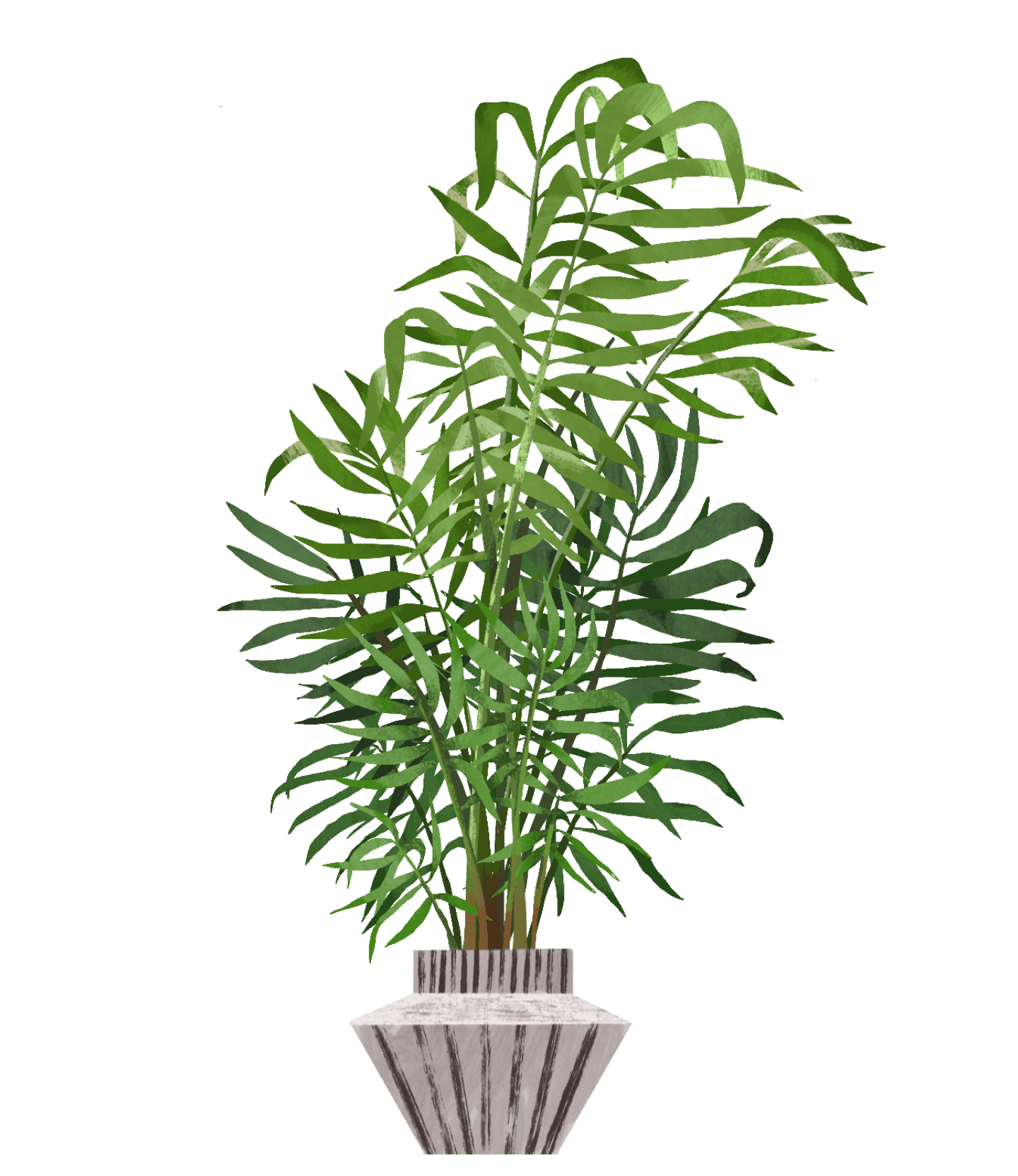 Parlor Palm Plant Care Guide